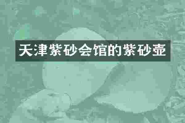天津紫砂会馆的紫砂壶