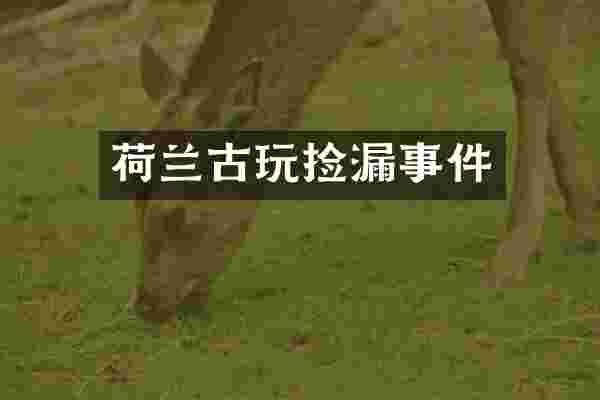 荷兰古玩捡漏事件