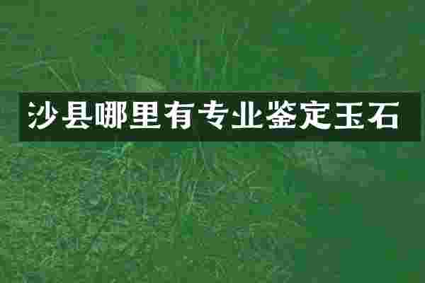 沙县哪里有专业鉴定玉石