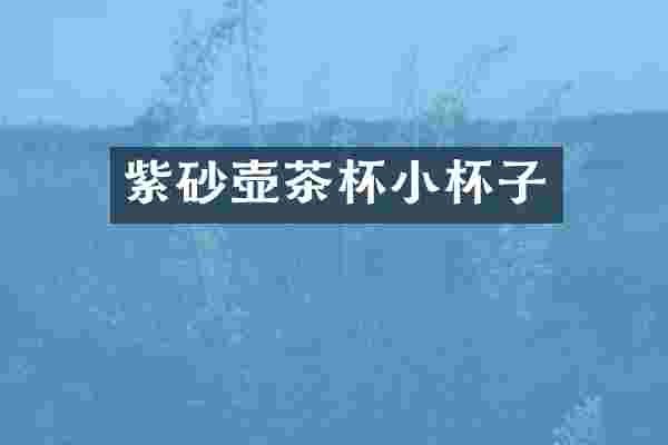 紫砂壶茶杯小杯子