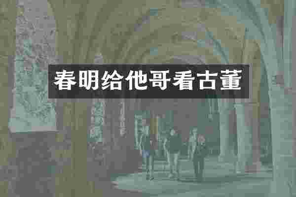 春明给他哥看古董