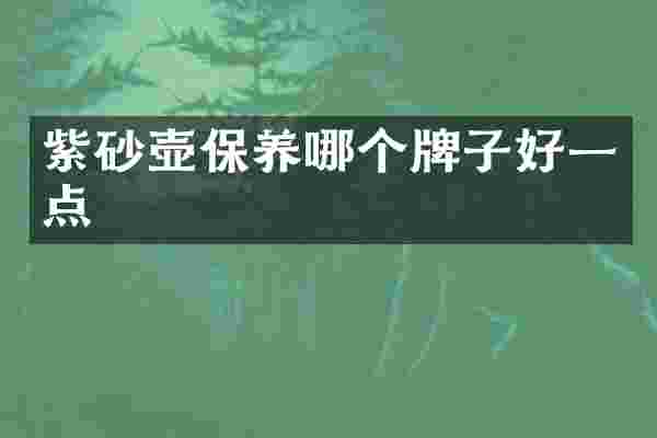 紫砂壶保养哪个牌子好一点
