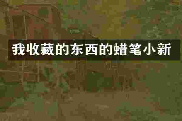 我收藏的东西的蜡笔小新