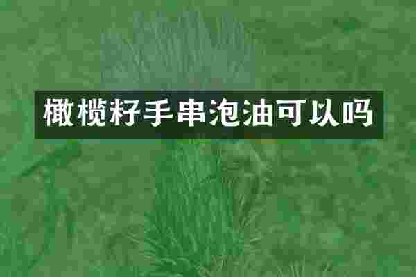 橄榄籽手串泡油可以吗