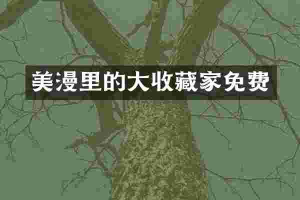 美漫里的大收藏家免费