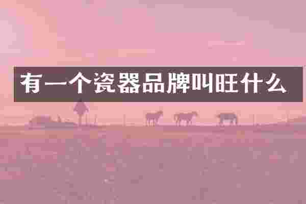 有一个瓷器品牌叫旺什么
