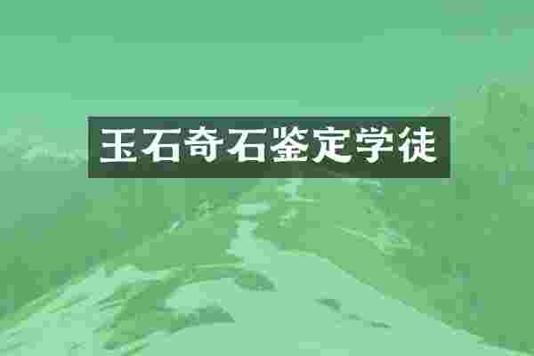 玉石奇石鉴定学徒