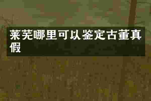 莱芜哪里可以鉴定古董真假