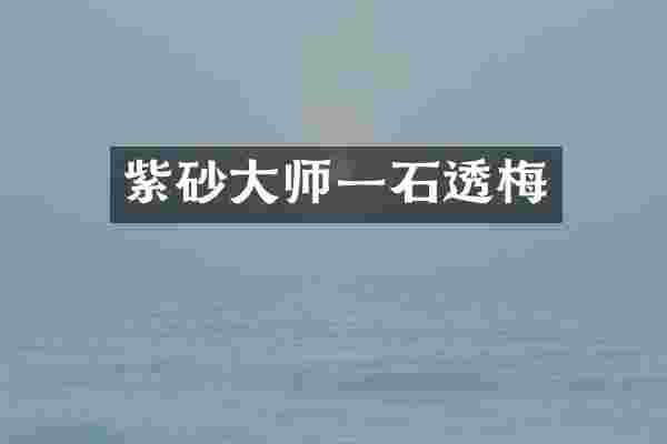 紫砂大师一石透梅