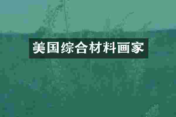 美国综合材料画家