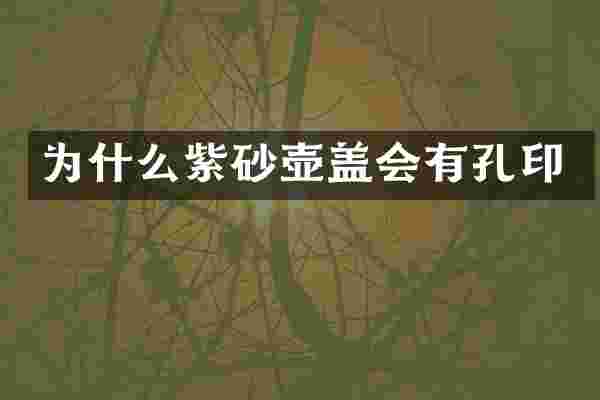 为什么紫砂壶盖会有孔印