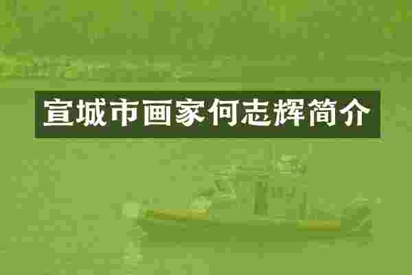 宣城市画家何志辉简介