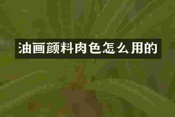 油画颜料肉色怎么用的