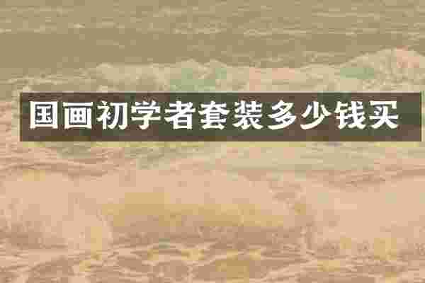 国画初学者套装多少钱买