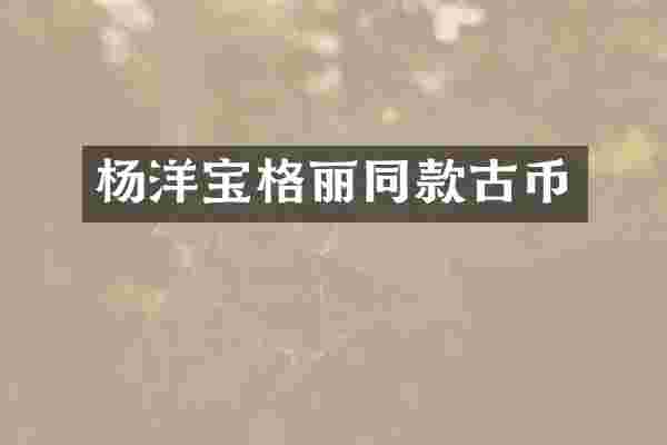 杨洋宝格丽同款古币