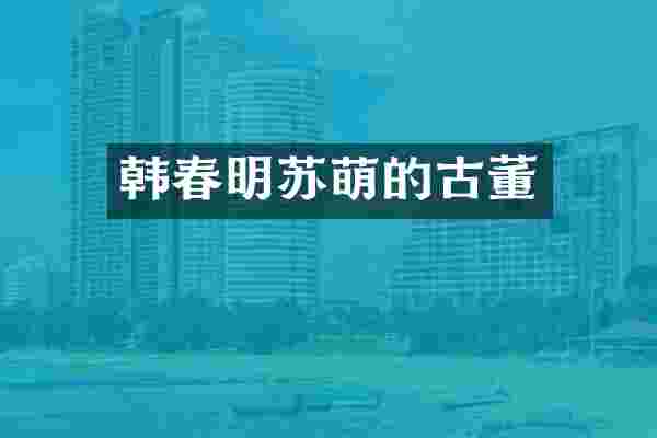 韩春明苏萌的古董