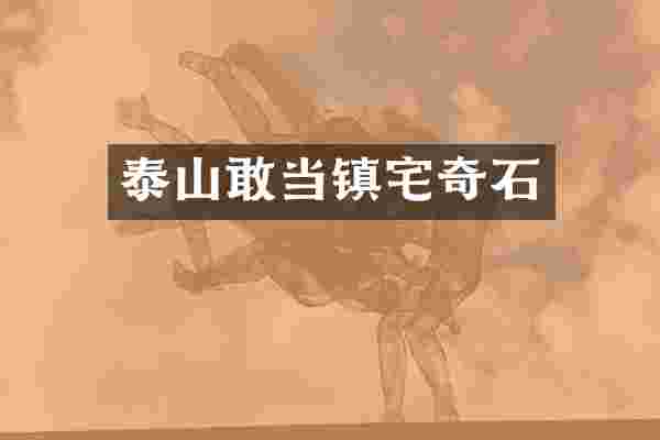 泰山敢当镇宅奇石
