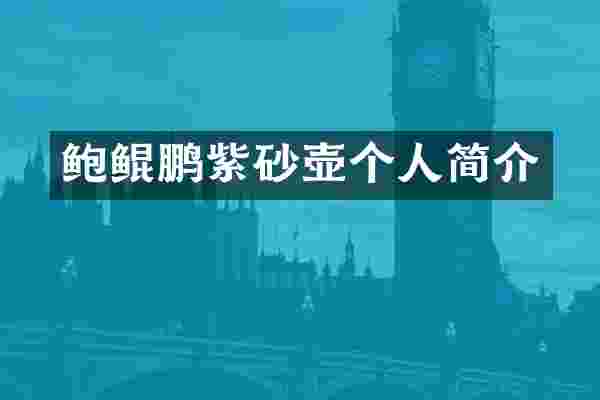 鲍鲲鹏紫砂壶个人简介