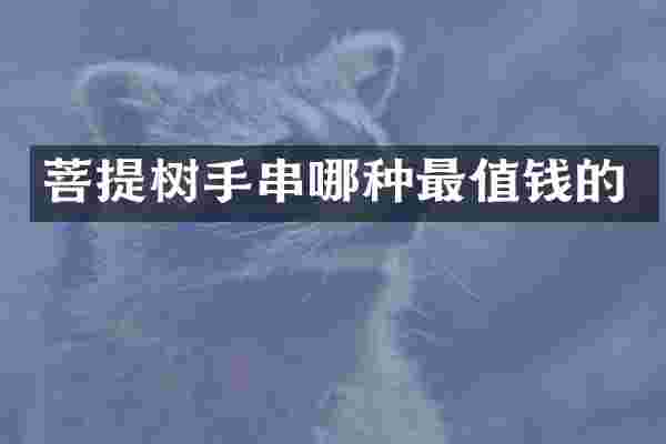 菩提树手串哪种最值钱的