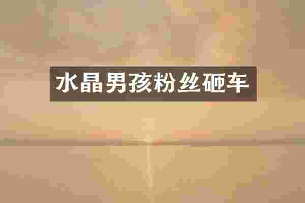 水晶男孩粉丝砸车