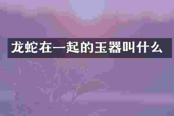 龙蛇在一起的玉器叫什么