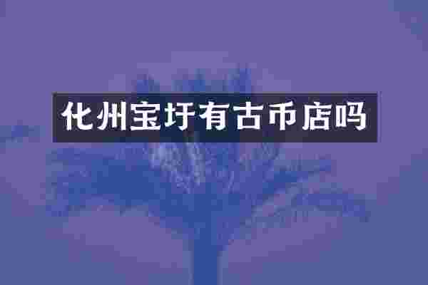 化州宝圩有古币店吗