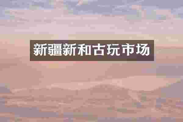 新疆新和古玩市场