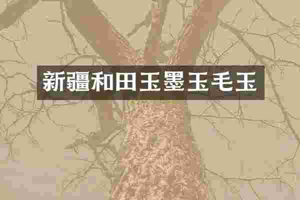 新疆和田玉墨玉毛玉