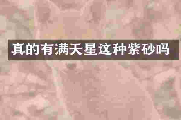 真的有满天星这种紫砂吗