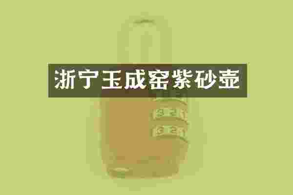 浙宁玉成窑紫砂壶