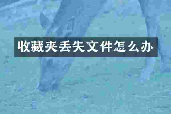 收藏夹丢失文件怎么办