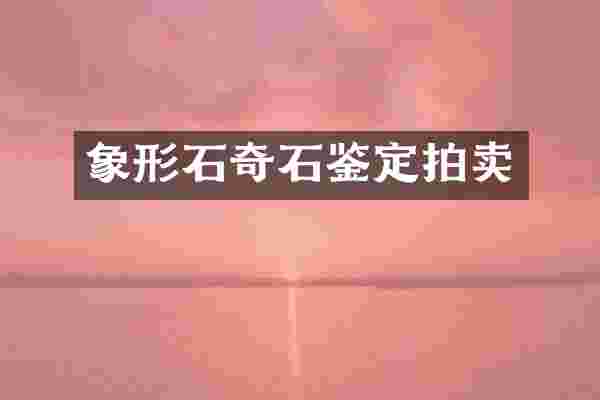 象形石奇石鉴定拍卖