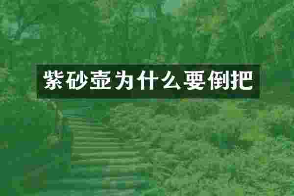 紫砂壶为什么要倒把