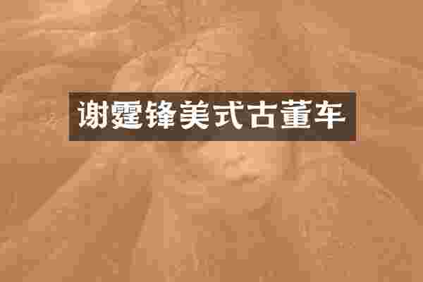 谢霆锋美式古董车