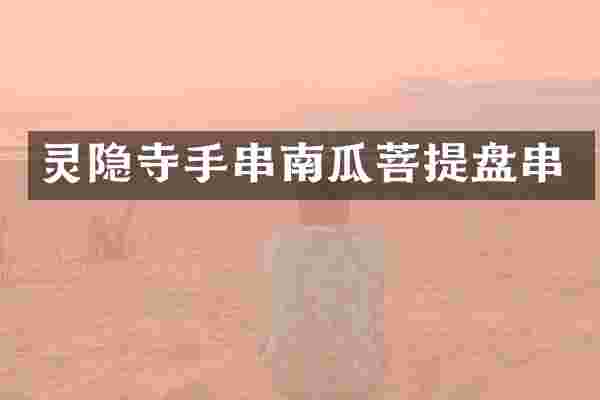 灵隐寺手串南瓜菩提盘串