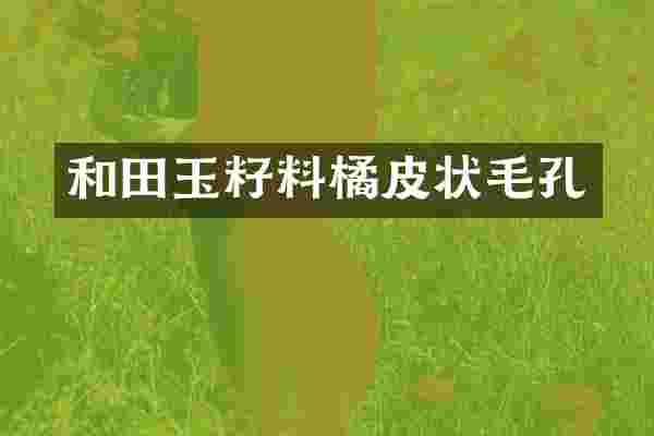 和田玉籽料橘皮状毛孔