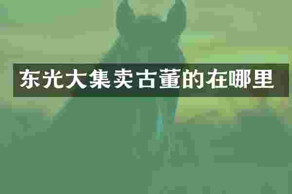 东光大集卖古董的在哪里