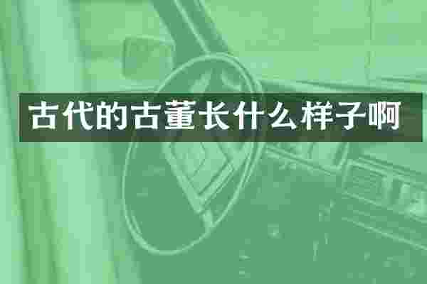 古代的古董长什么样子啊
