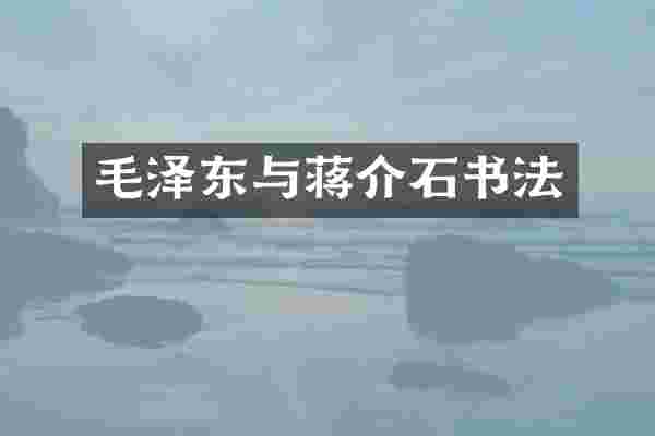 与蒋介石书法