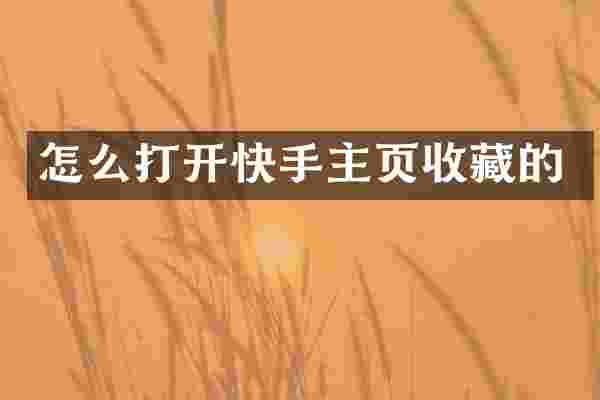 怎么打开快手主页收藏的