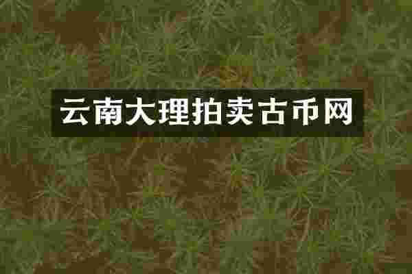 云南大理拍卖古币网
