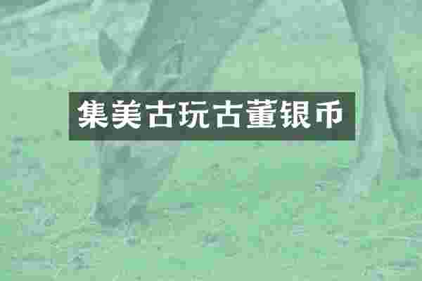 集美古玩古董银币