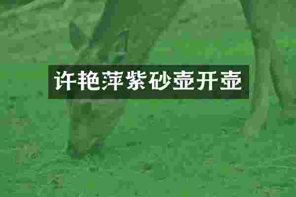 许艳萍紫砂壶开壶