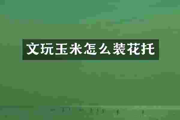 文玩玉米怎么装花托
