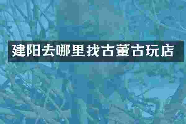 建阳去哪里找古董古玩店