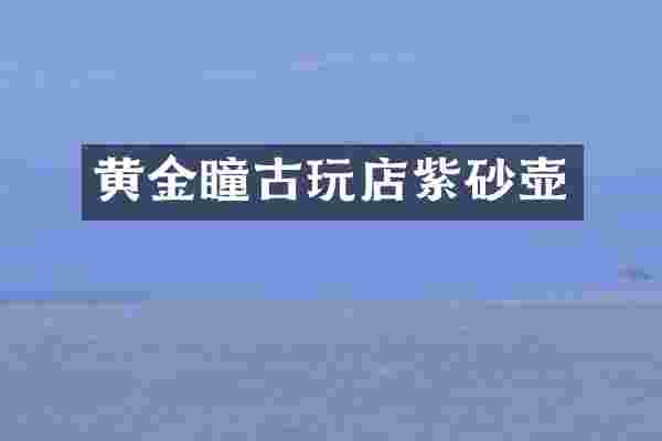 黄金瞳古玩店紫砂壶