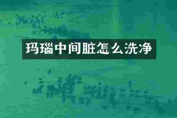 玛瑙中间脏怎么洗净