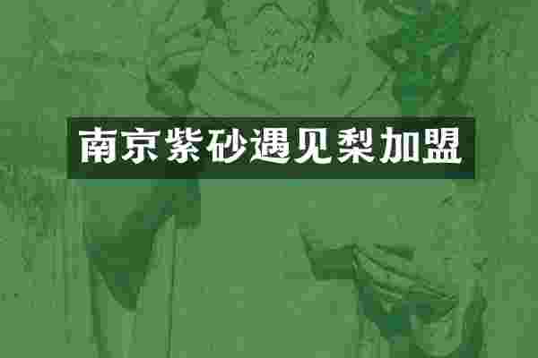 南京紫砂遇见梨加盟