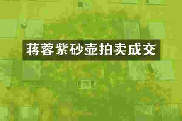 蒋蓉紫砂壶拍卖成交