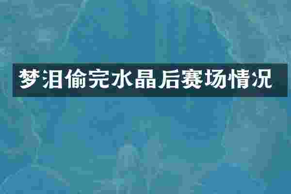 梦泪偷完水晶后赛场情况